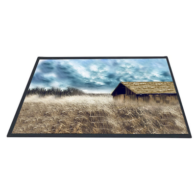 Хорошая цена Экран панели дюйма B101XAN01.2 1366x768 TFT LCD AUO 10,1 онлайн
