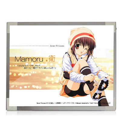 Хорошая цена M170EP01 V0 1028*1024 TN, нормально белый, Transmissive соединитель 69 штырей   Экран ноутбука LCD онлайн